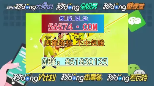 澳门一肖一码一一子中特的全面释义、解释与落实、全面解答解释落实