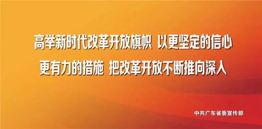 澳门正版精准免费大全大众网的全面释义、解释与落实、专家解答解释落实