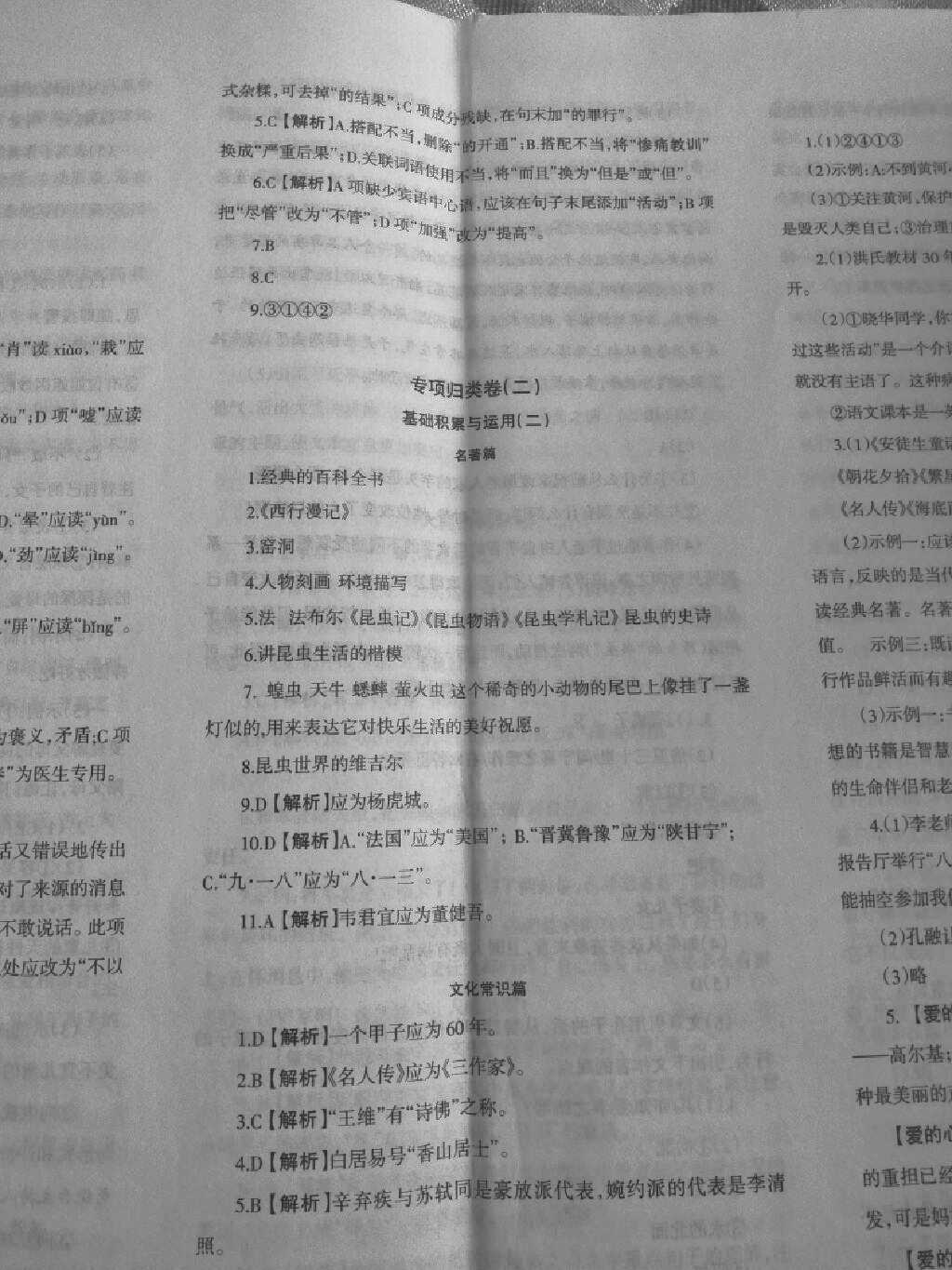 澳门一码一肖一特一中2025警惕虚假宣传、全面解答与解释、全面解答解释落实